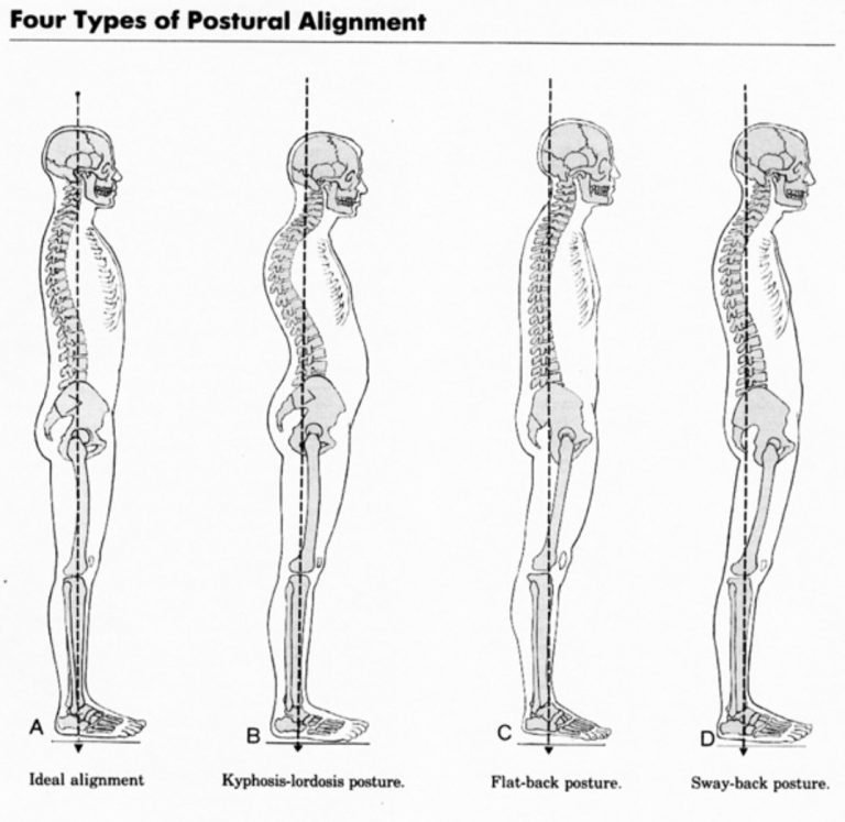 SP_art of good posture 1.png