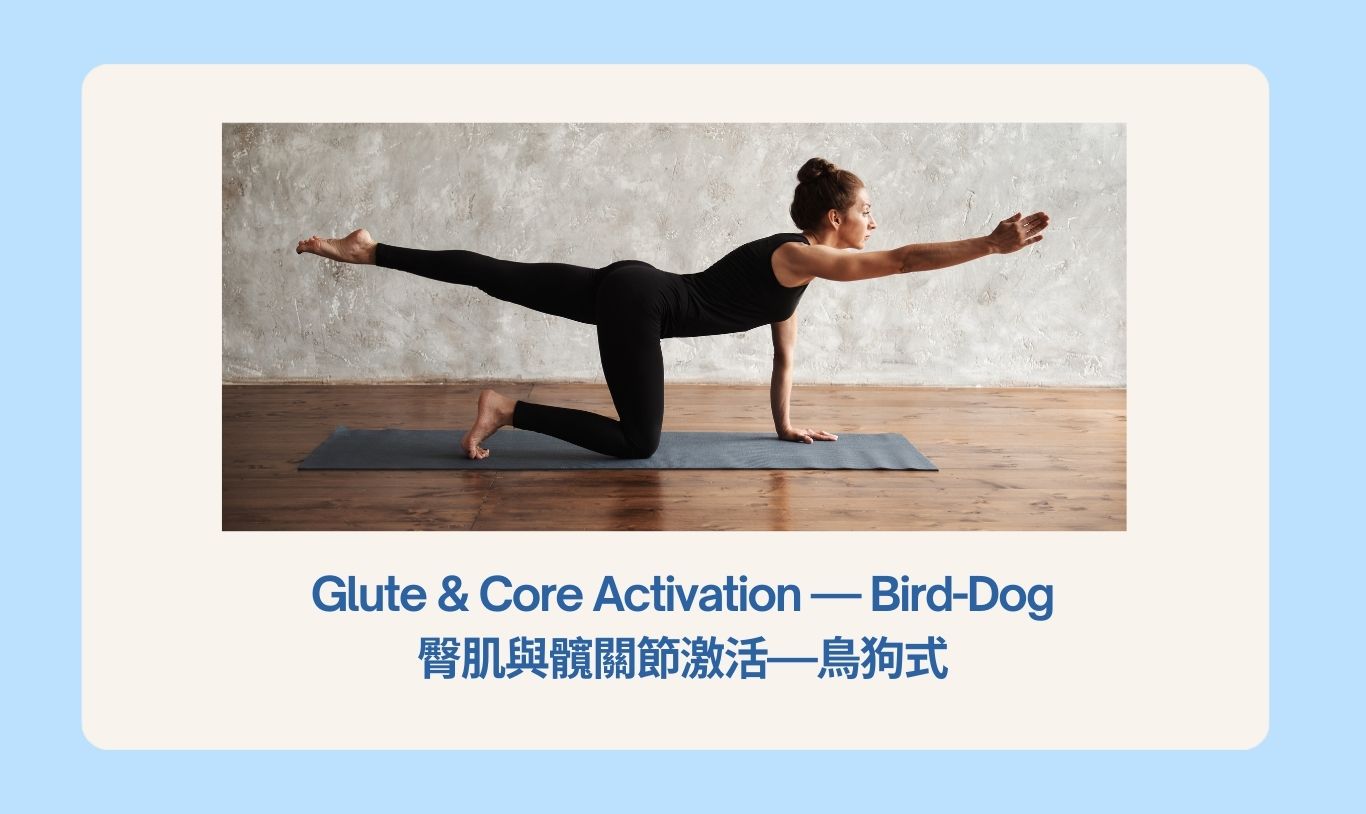 3-bird dog stretch.jpg